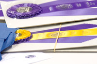 ALL WEEK BEST OF  BREED COMPETITIONS