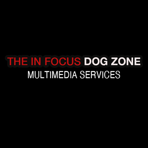 The In Focus Dog Zone
